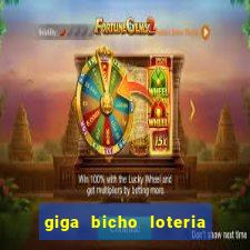 giga bicho loteria dos sonhos